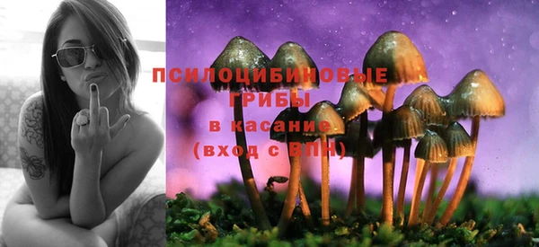 MDMA Premium VHQ Волоколамск