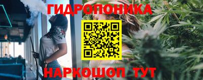 шишки Малгобек