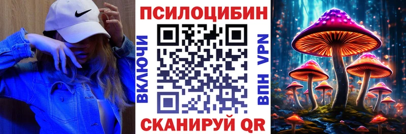 hydra ТОР  Обнинск  Псилоцибиновые грибы Psilocybine cubensis  дарнет шоп 