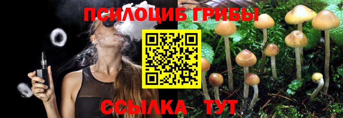 Псилоцибиновые грибы прущие грибы Обнинск